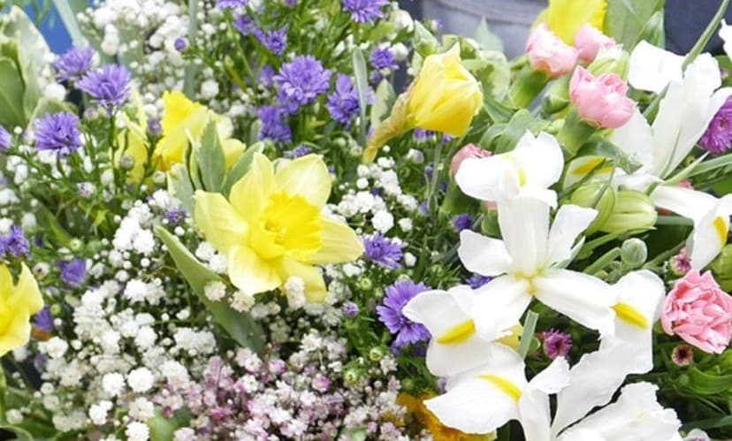 Monceau Fleurs — 1