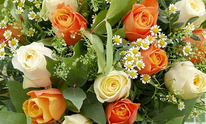 Au Nom de la Rose — 2