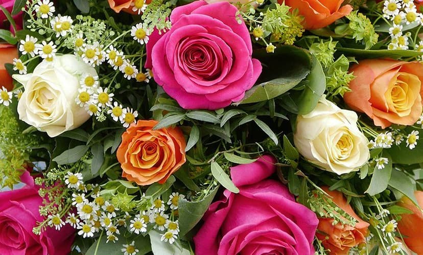 Au Nom de la Rose — 3