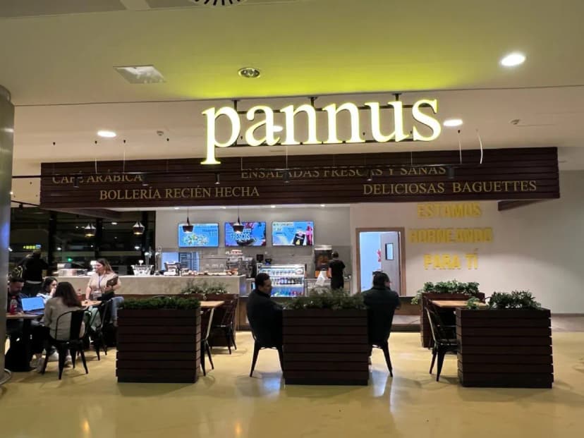 Pannus — 2