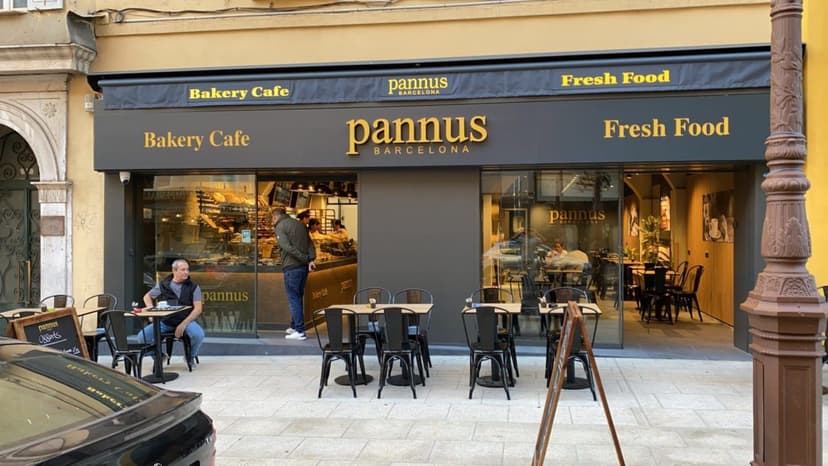 Pannus — 1