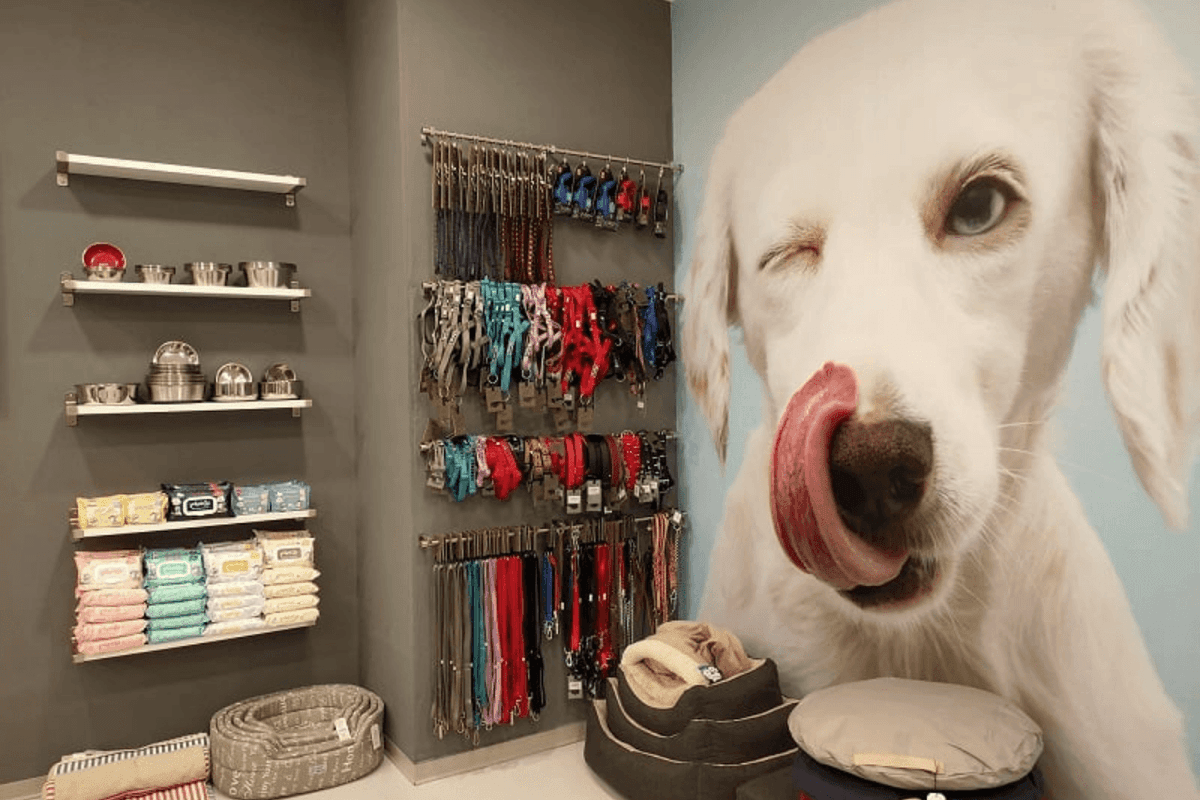 I 10 marchi Top per aprire un negozio in franchising di animali
