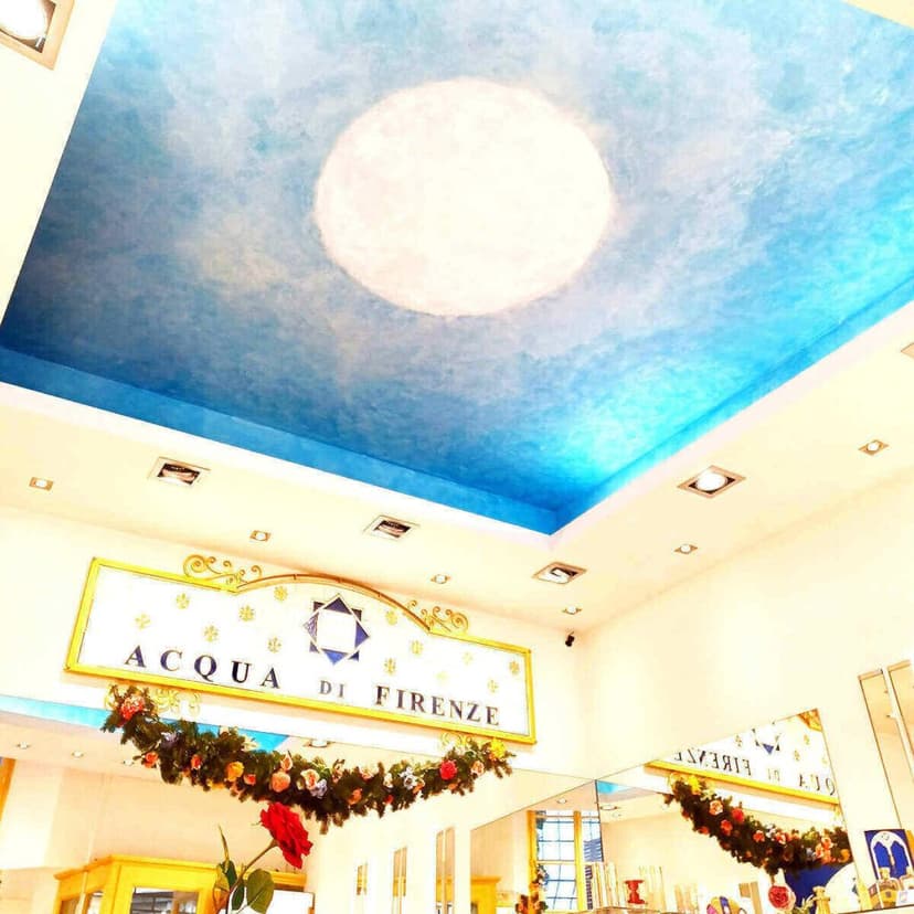 Acqua di Firenze Franchising — 3
