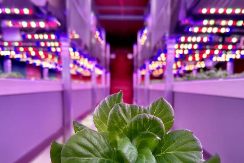 Agricooltur Franchising — 1