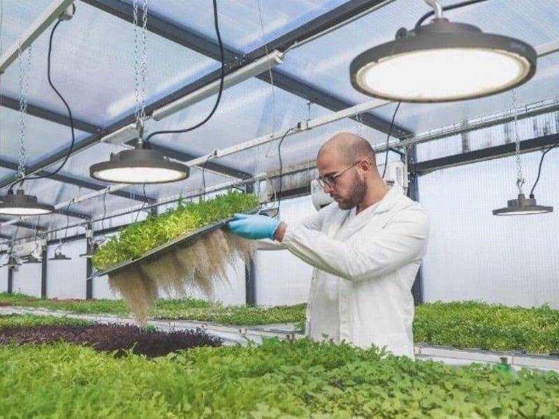 Agricooltur Franchising — 3