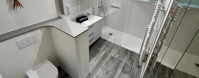 Mobilaug — 2