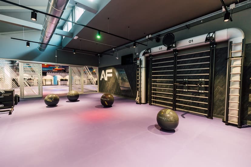 Anytime Fitness Franchising — 1