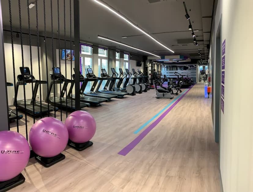 Anytime Fitness Franchising — 3
