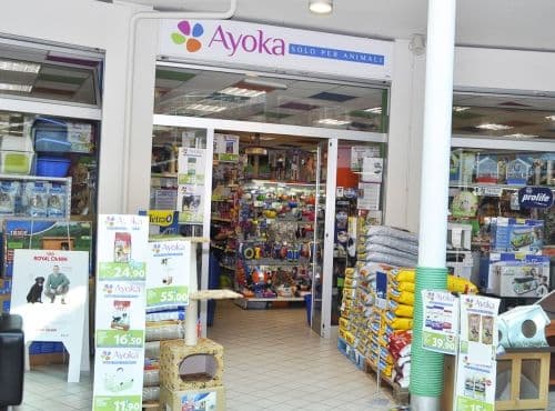 Ayoka Franchising — 1