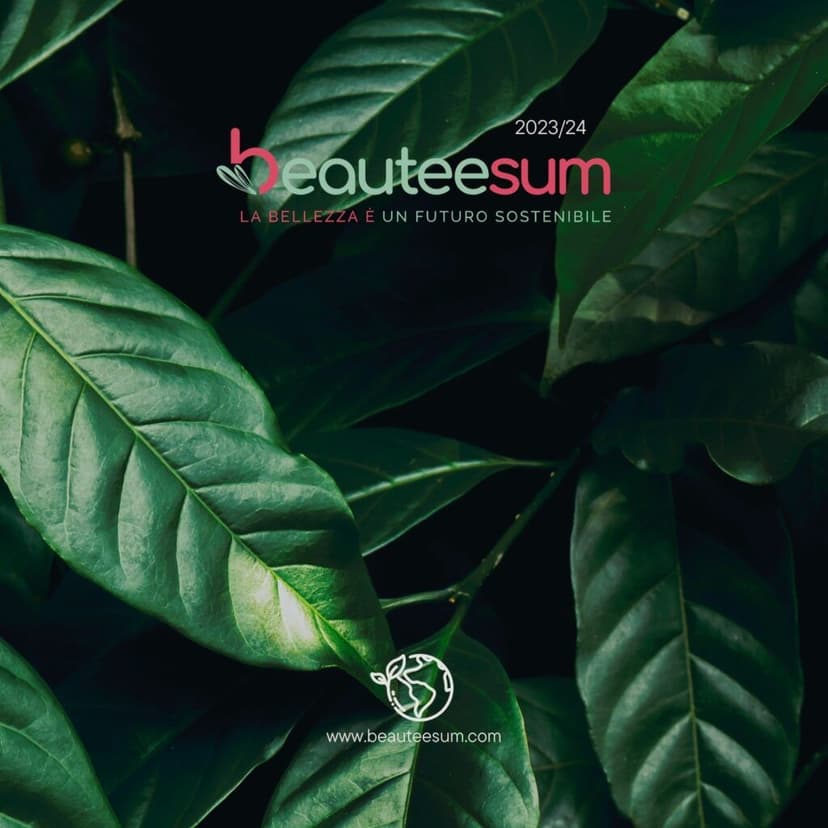 Beauteesum Franchising — 1
