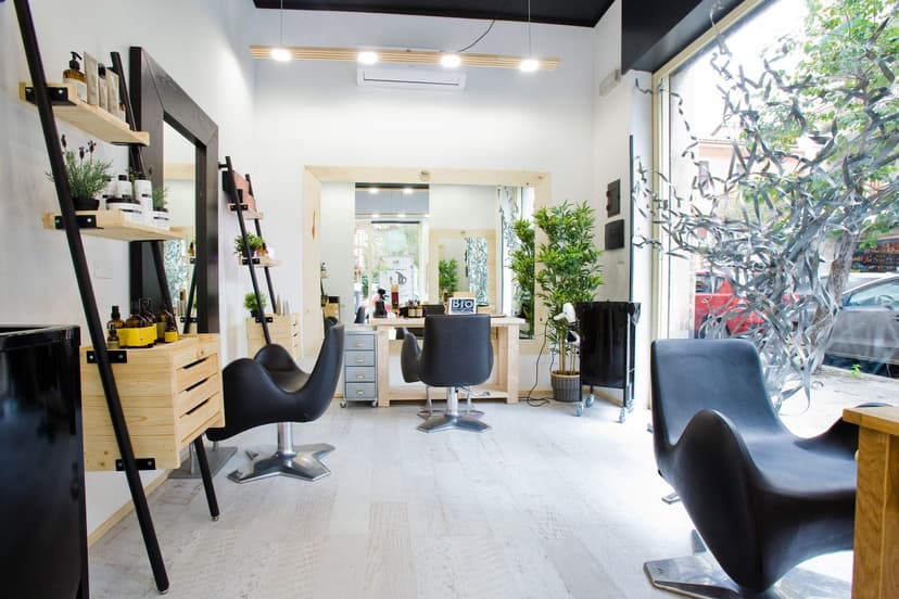 BioSalon Franchising — 3