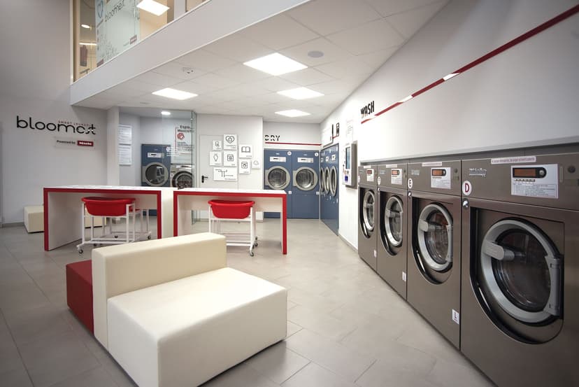 Bloomest Laundry — 3