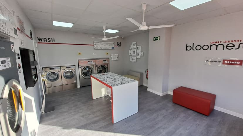 Bloomest Laundry — 2