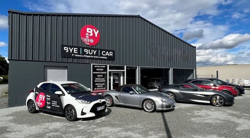 BYE BUY CAR — 3