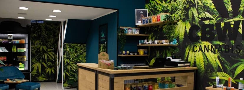 CB Weed Franchising — 1