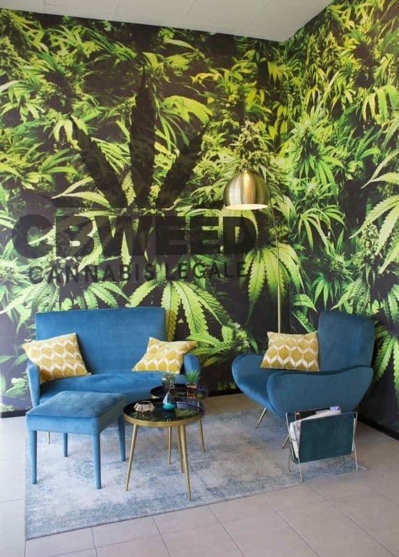 CB Weed Franchising — 2