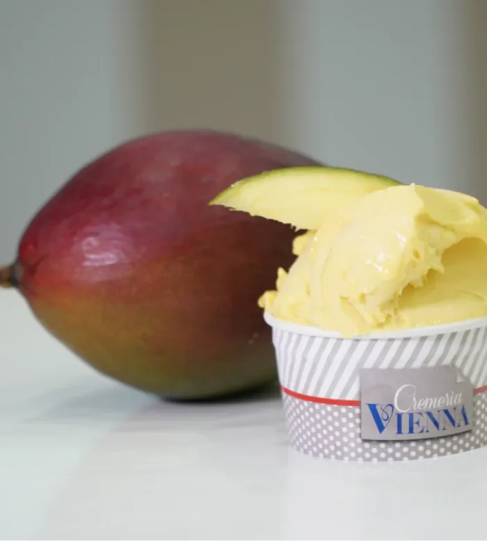 Cremeria Vienna Franchising — 2