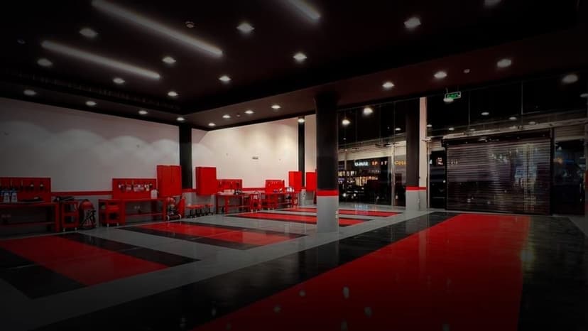 DettaglioAuto Franchising — 2