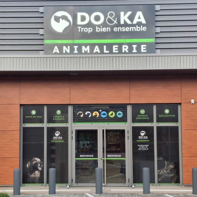 DOetKA — 2