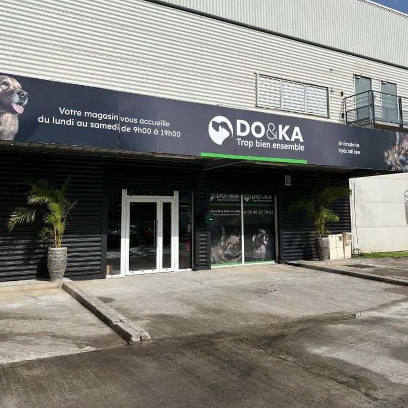 DOetKA — 1