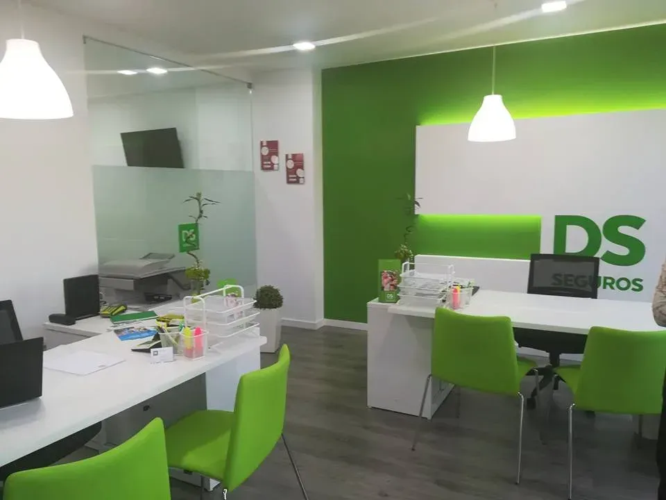 DS Seguros — 1