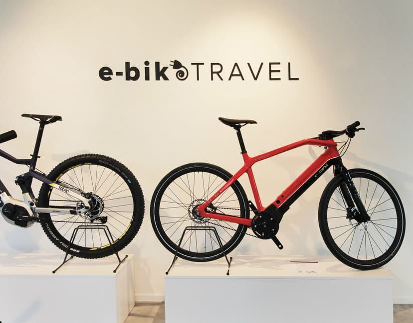 eBike Travel Franchising — 4