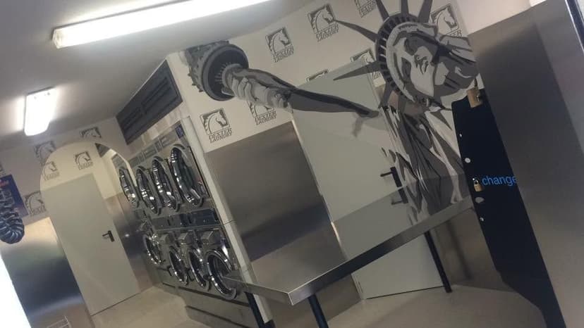 Express Wash Franchising — 3