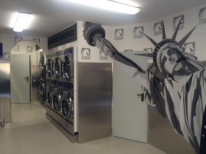 Express Wash Franchising — 2