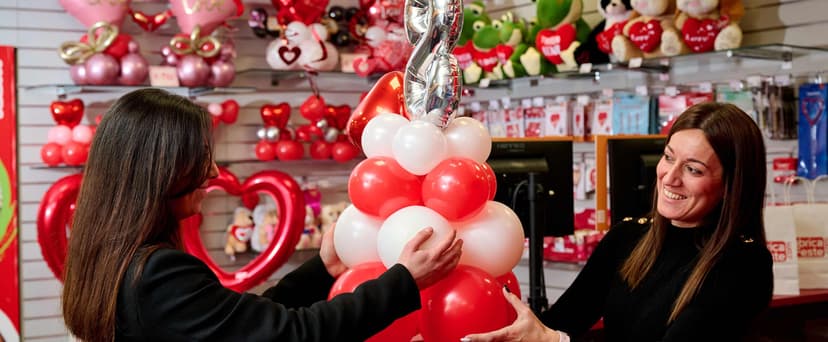 Fabbrica delle Feste Franchising — 1