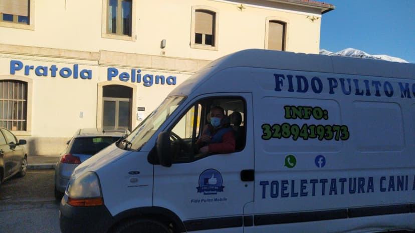 Fido Pulito Mobile Franchising — 2