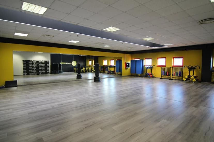 Fit Express Franchising — 5