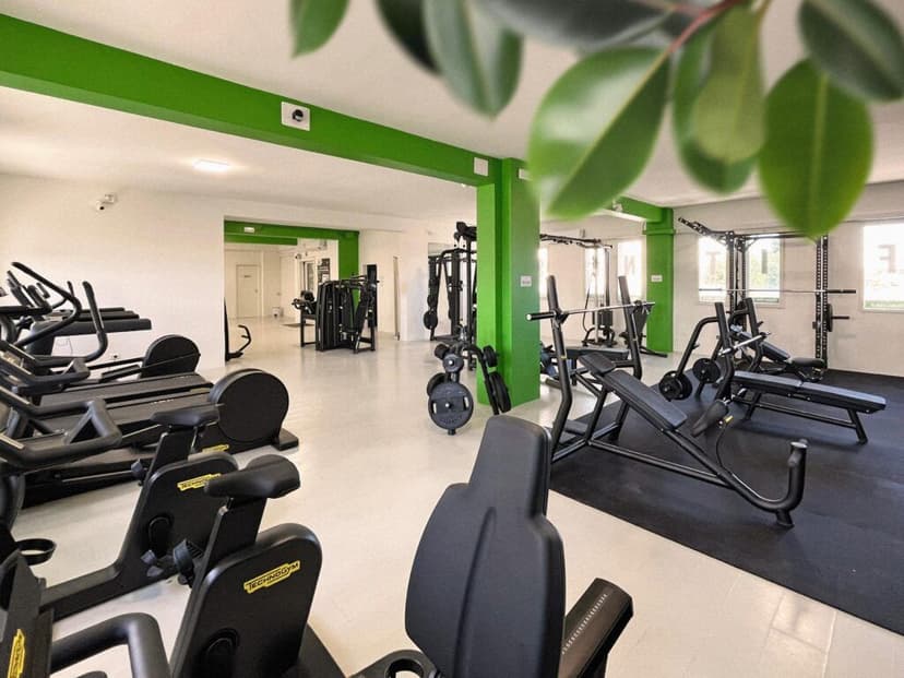 Fit+ Franchising — 3