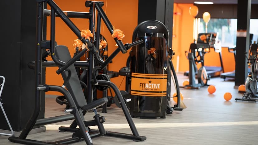 FitActive Franchising — 3