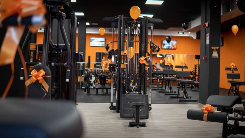 FitActive Franchising — 5