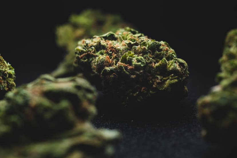 CBD.FR — 1