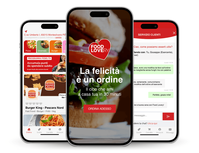 Food Lovery Franchising — 1