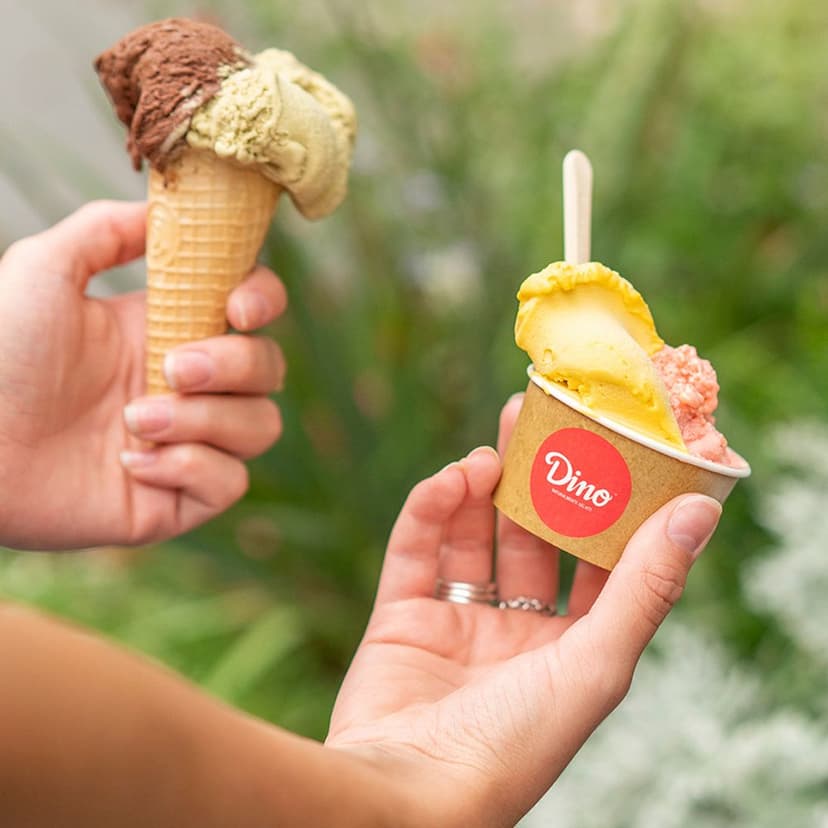 Gelati Dino — 4