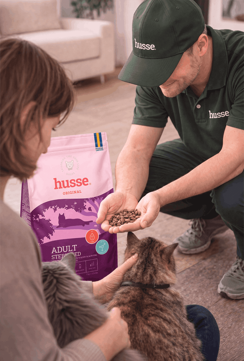 husse — 3