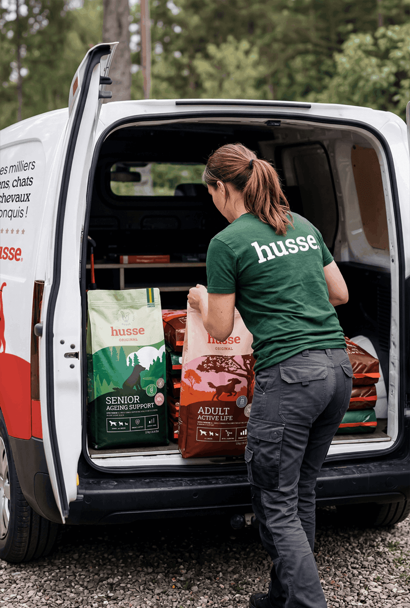 husse — 4