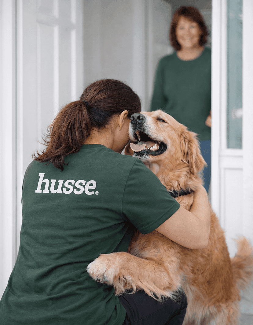 husse — 2