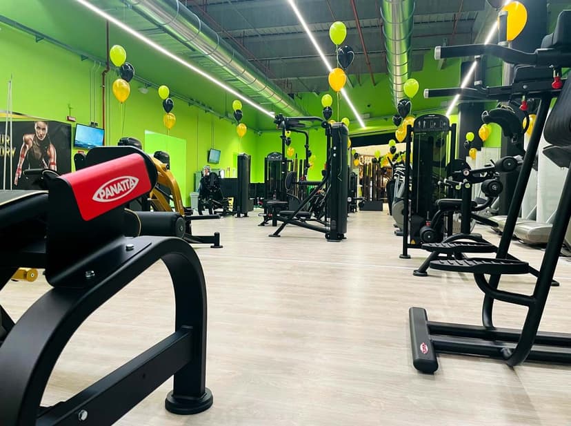 Hut Fit Franchising — 4