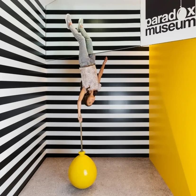 Paradox Museum — 2