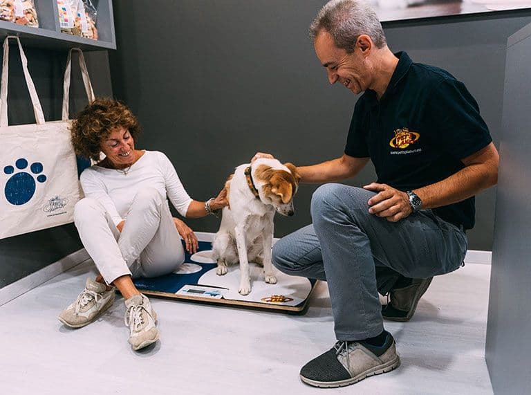 Pet&#8217;s Planet Franchising — 4