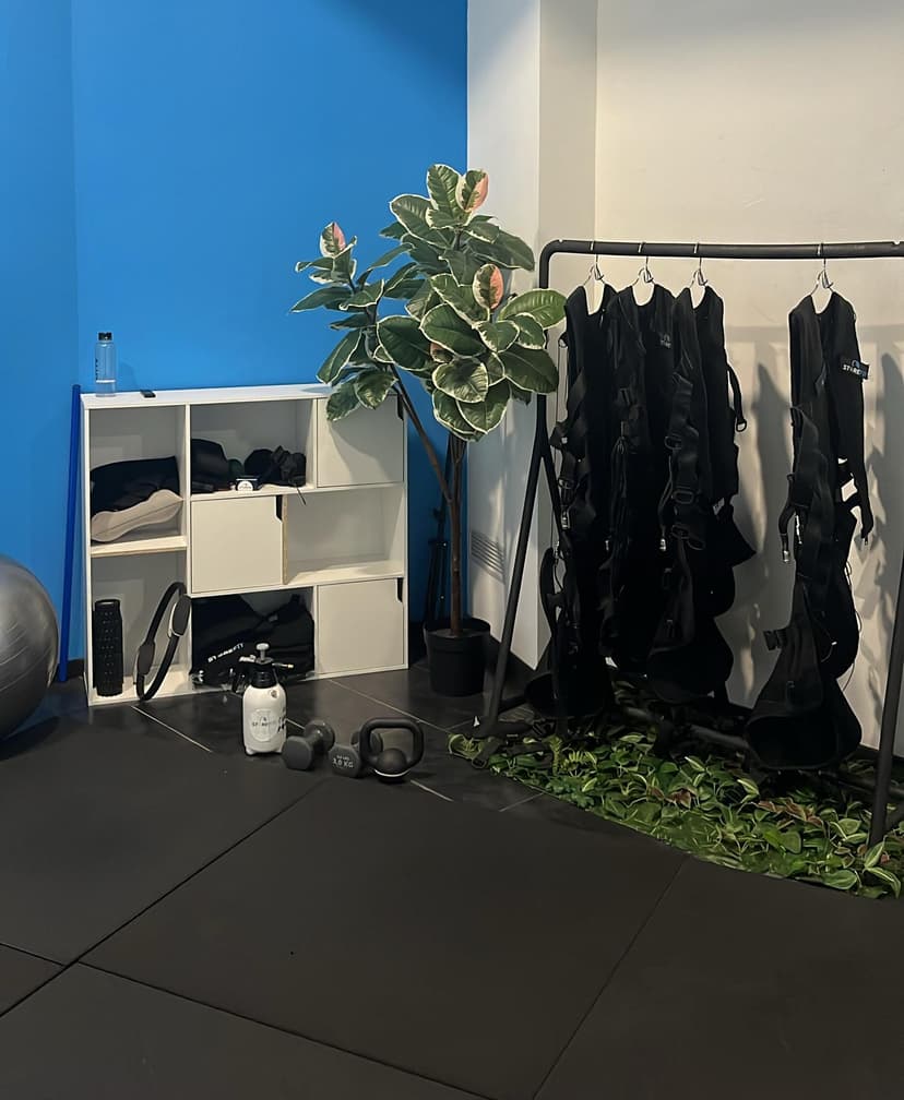 Store Fit Franchising — 4
