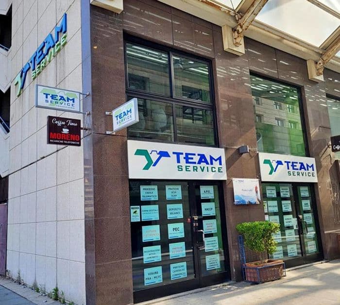Team Service Franchising — 1