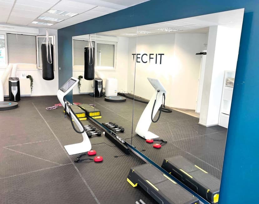 TECFIT — 3