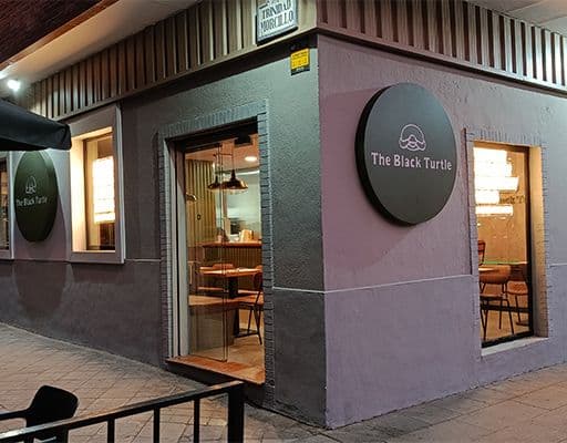 The Black Turtle — 2
