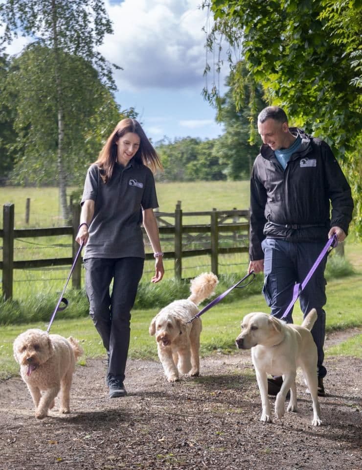 The Pets, Homes and Gardens Company — 4