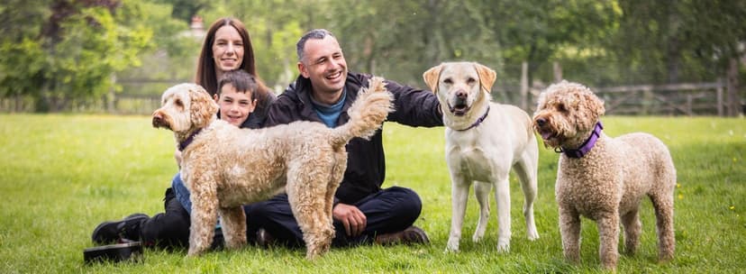 The Pets, Homes and Gardens Company — 3