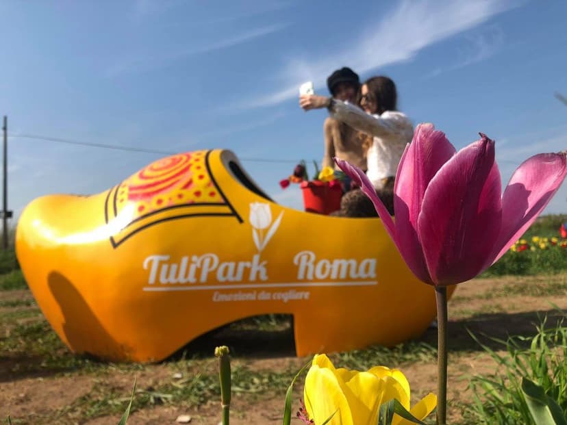 TuliPark franchising — 1